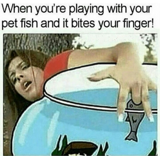 The title is playing with his fish - meme
