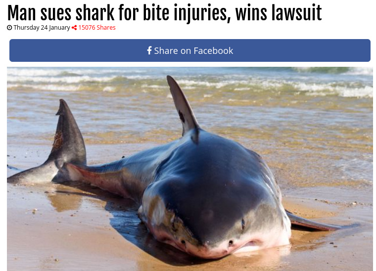 A guy sued a shark for taking a bite out of his leg..? - meme