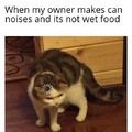 Disapointed kitty