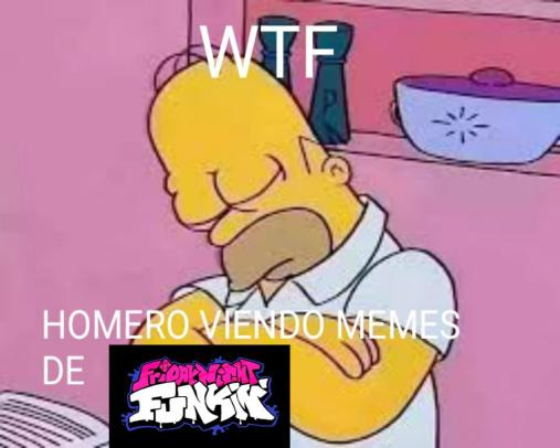 WTF homero? - meme