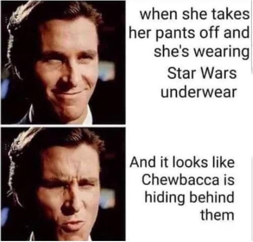 Insert Chewbacca sound - meme