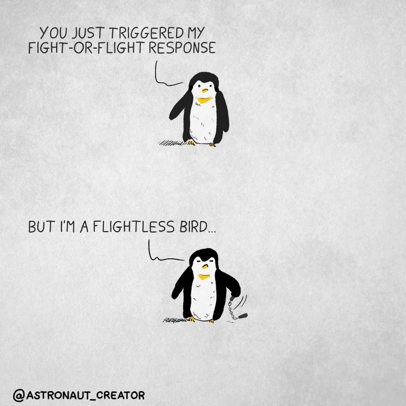 Penguin suit - meme