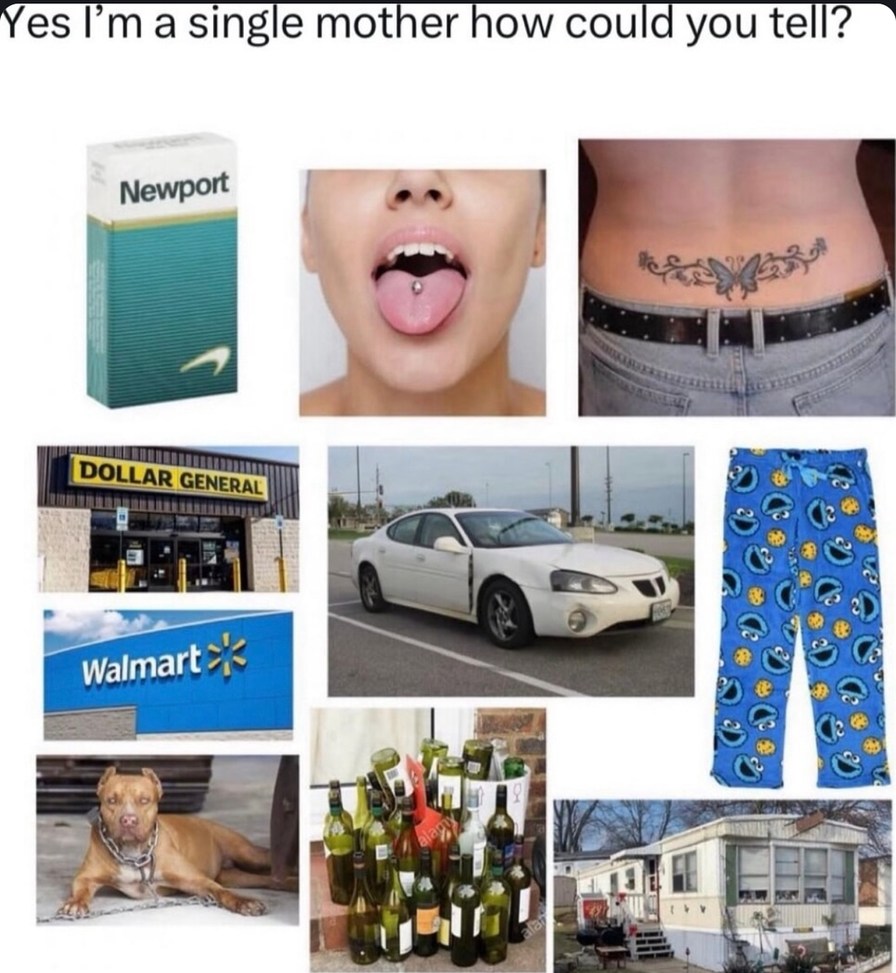 Single mom vibes activated: Newport, Dollar General, Walmart combo - meme