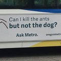 What are you asking here metro?