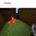 Firefox be like