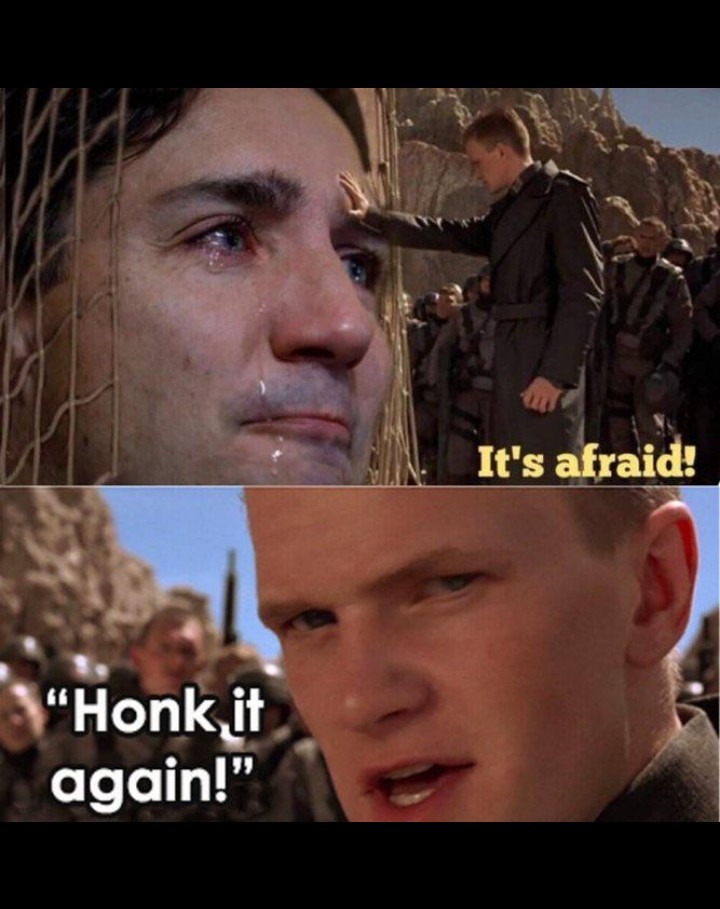 Honk it again! - meme