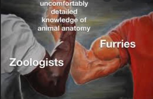 Furries are awful - meme