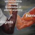 Furries are awful