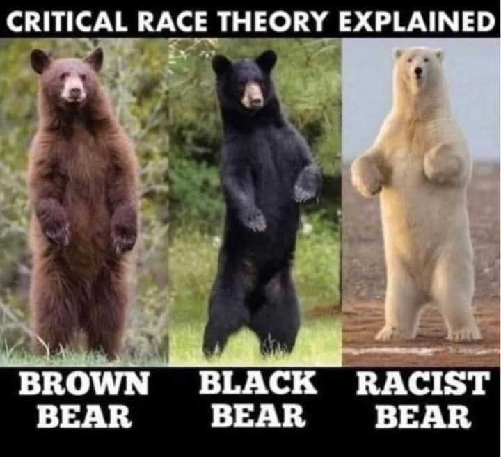CRT Critical Race Theory Explained - meme