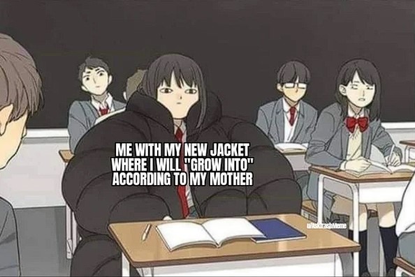 Mom's choice - meme