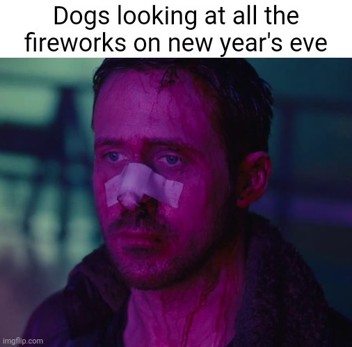 Dogs on new year's eve - meme