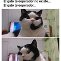 Gato teleoperador