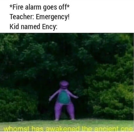 dongs in an alarm - meme