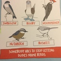 My mom likes birds so I got her this card for her birthday