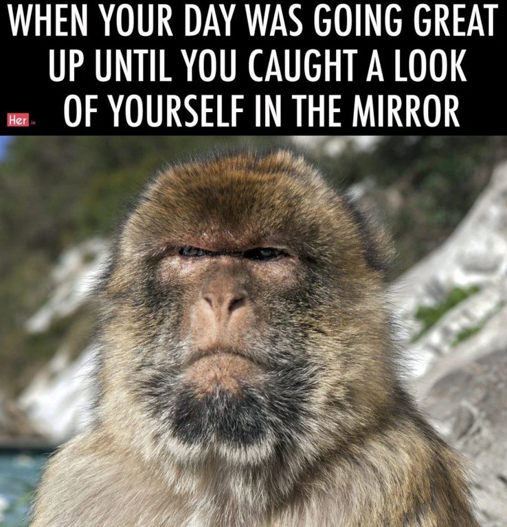 Relateable day - meme