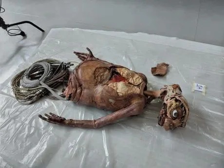 aqui tienen el animatrónico de E.T. - meme