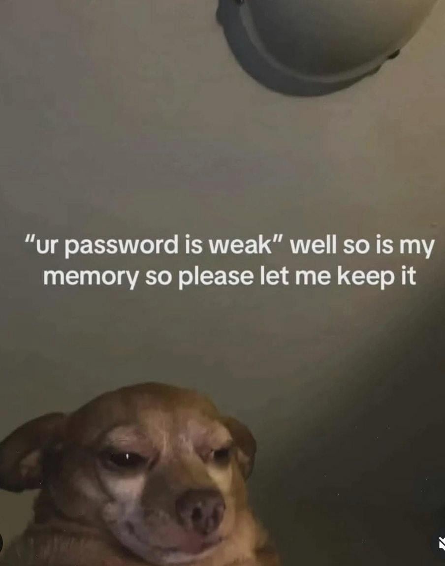 My password is weak? Well, so is my memory. Let me keep it, please. - meme