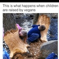 vegans are gay