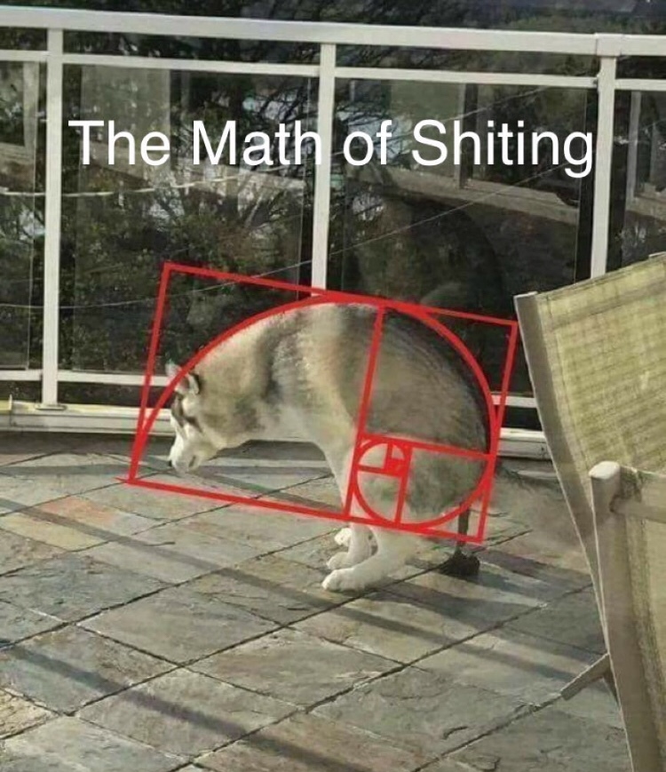 The Math of Shiting - meme