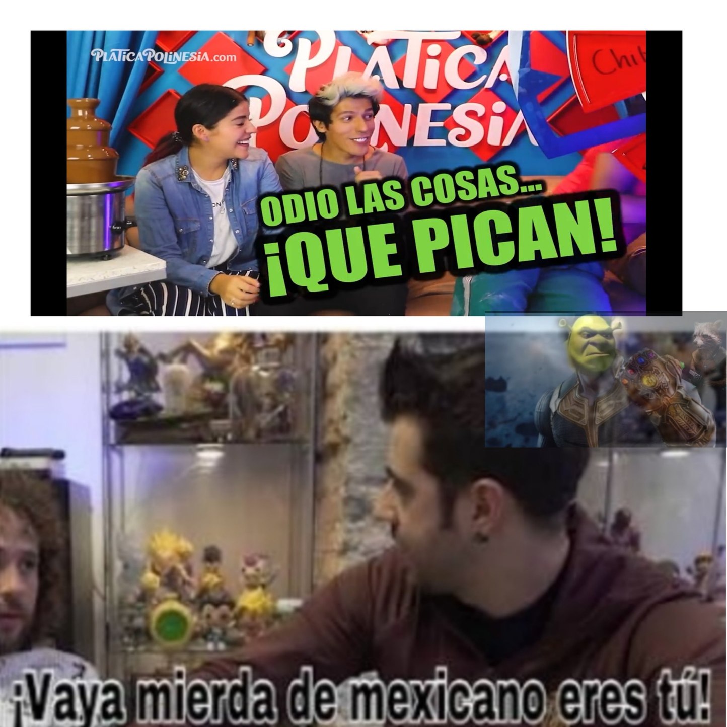Los polinesios son mexicanos - meme