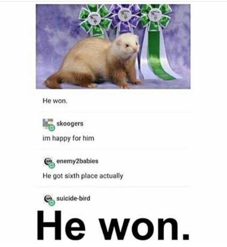 He won - meme