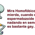 Jaque mate homofóbicos.
