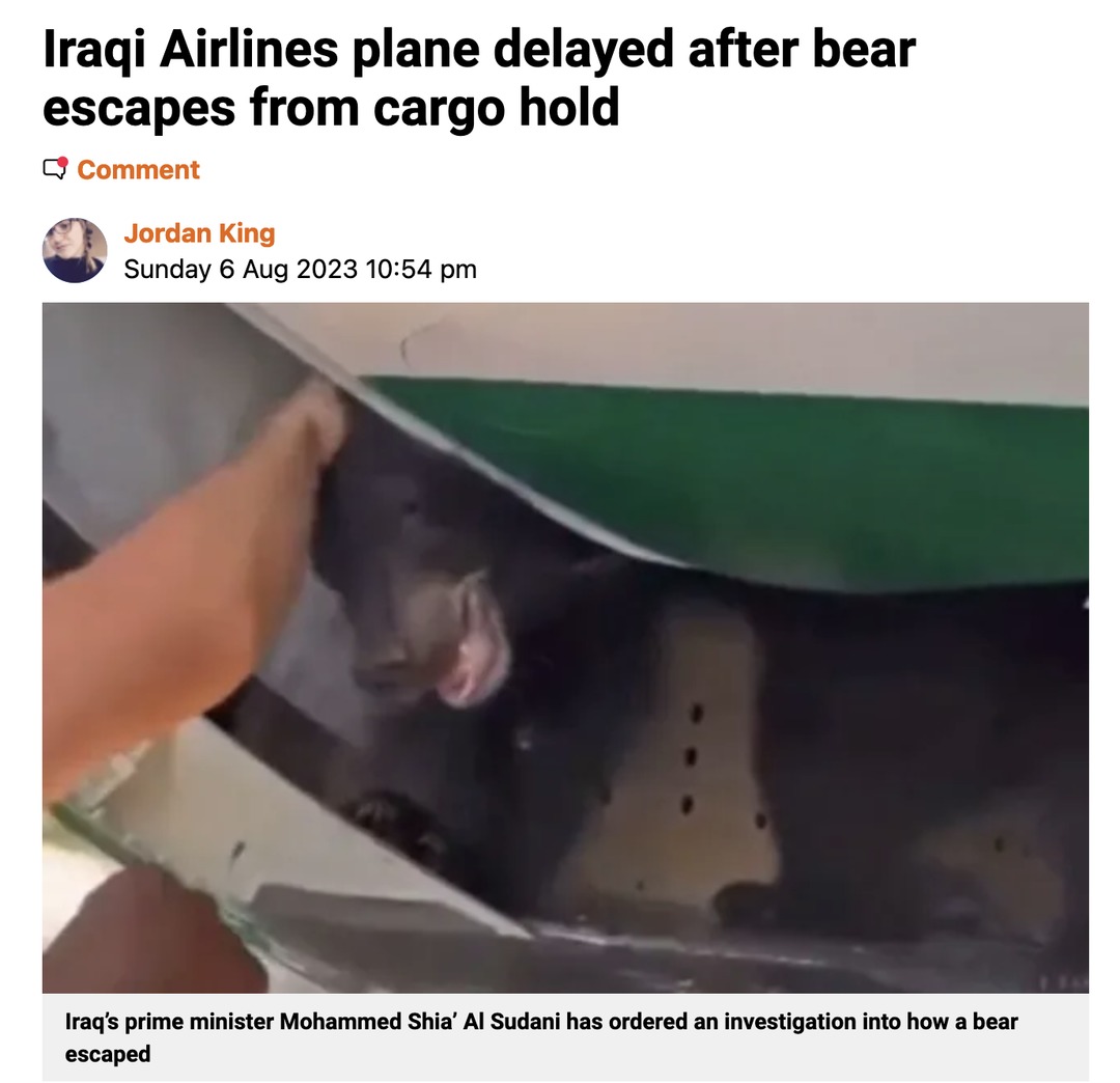 Iraqi Airlines plane delayed after bear escapes from cargo hold - meme