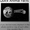 Cool fact