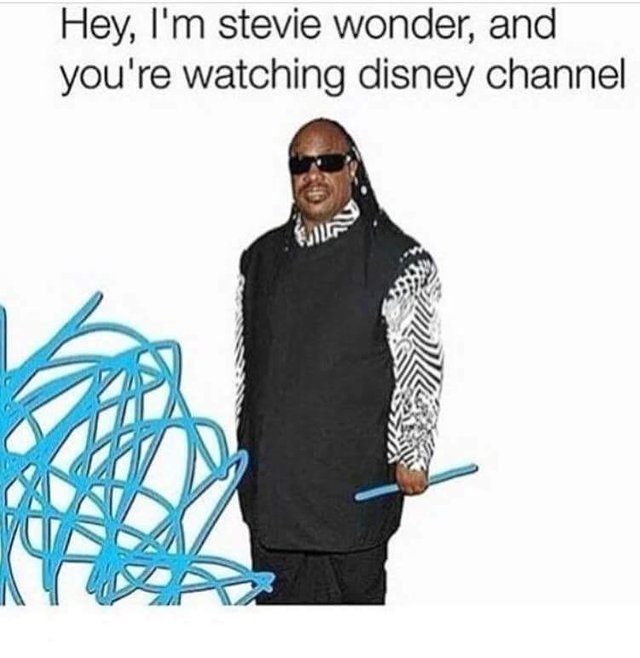 I'm Stevie Wonder and you are watching Disney Channel - meme