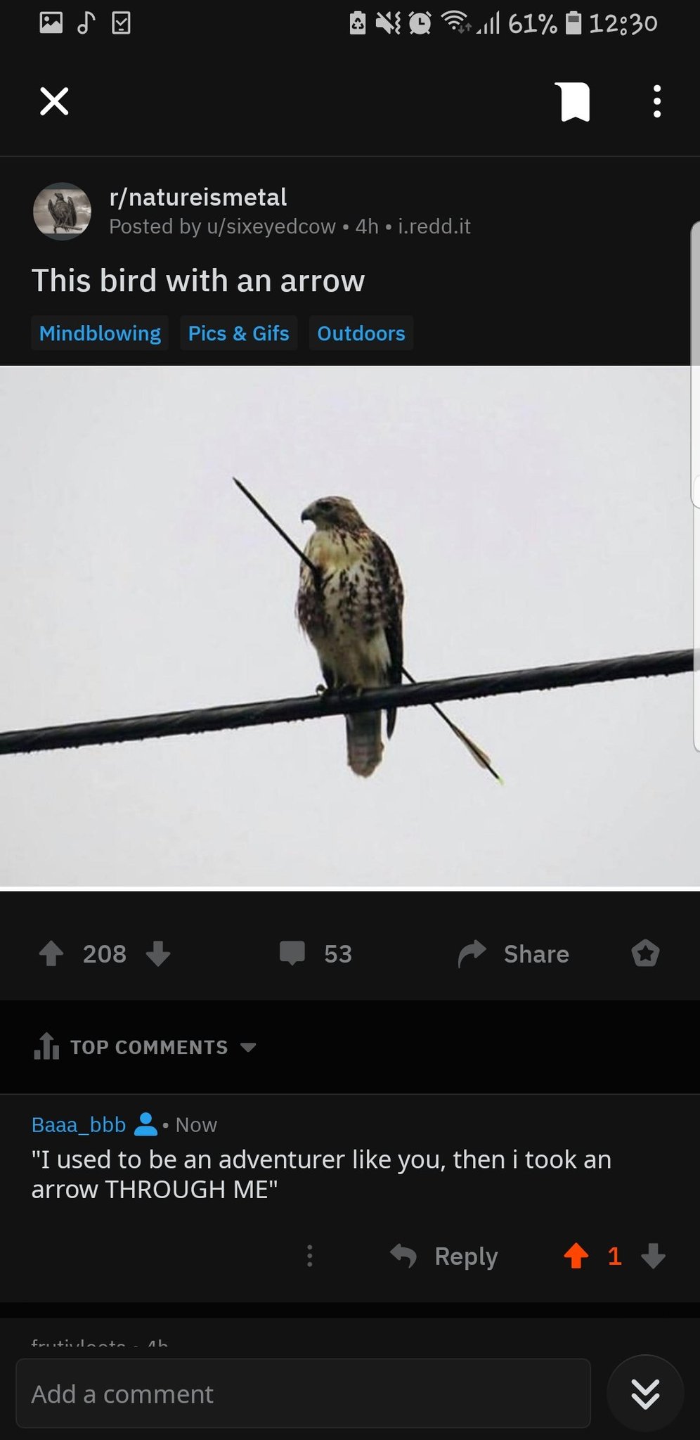 Poor bird - meme