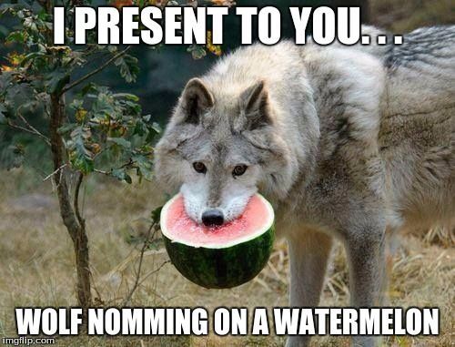 Tasty watermelon - meme
