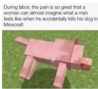 Anyone felt such pain ( i mean the killed your dog pain) - meme