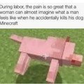 Anyone felt such pain ( i mean the killed your dog pain)