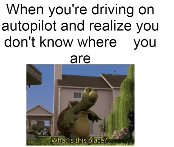 Driving on autopilot be like - meme