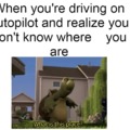 Driving on autopilot be like