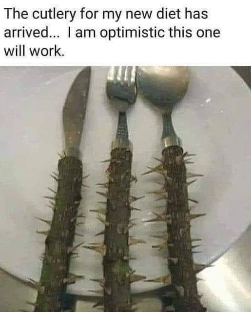 New diet cutlery - meme