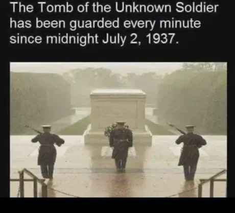 The Tomb of the Unknown Soldier - meme