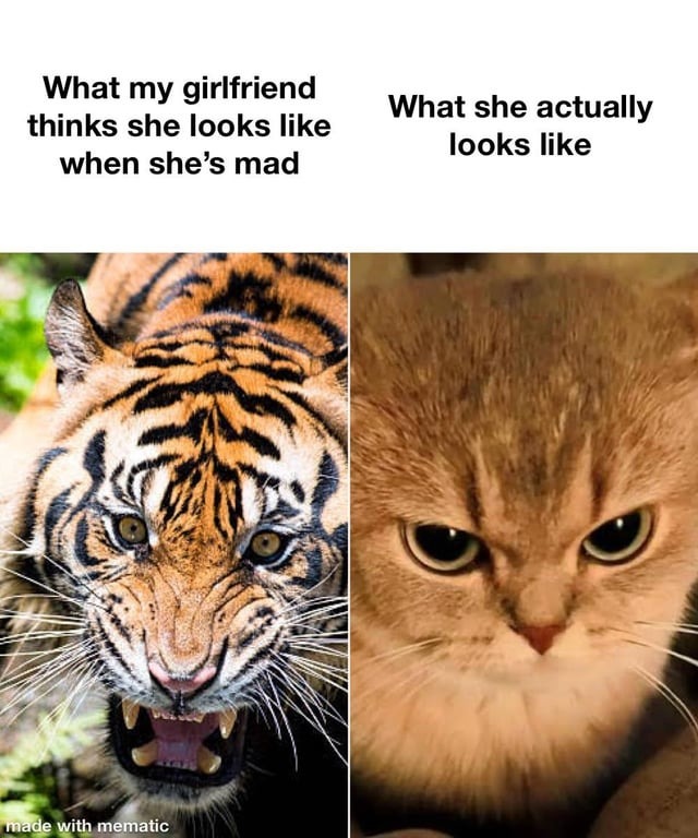 Mad girlfriend meme