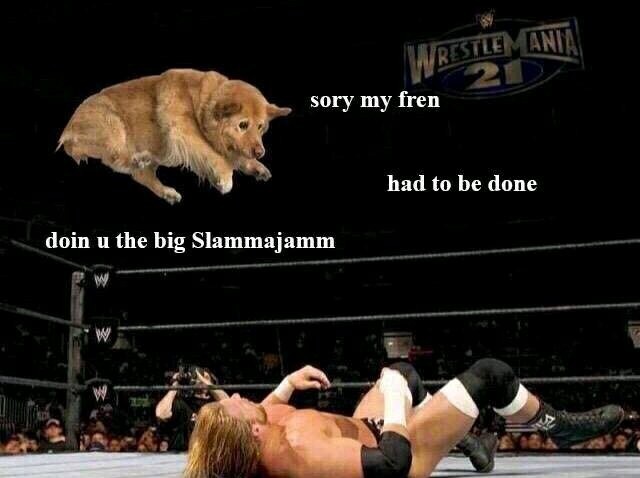 Wrestle doggo delight - meme