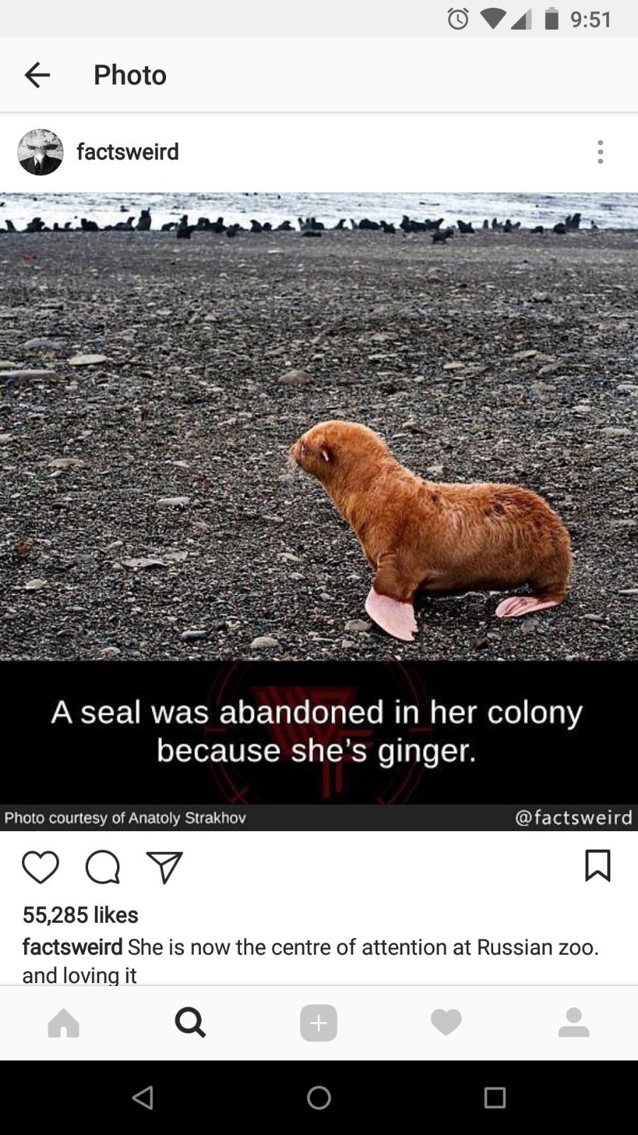 Even nature hates ginger - meme