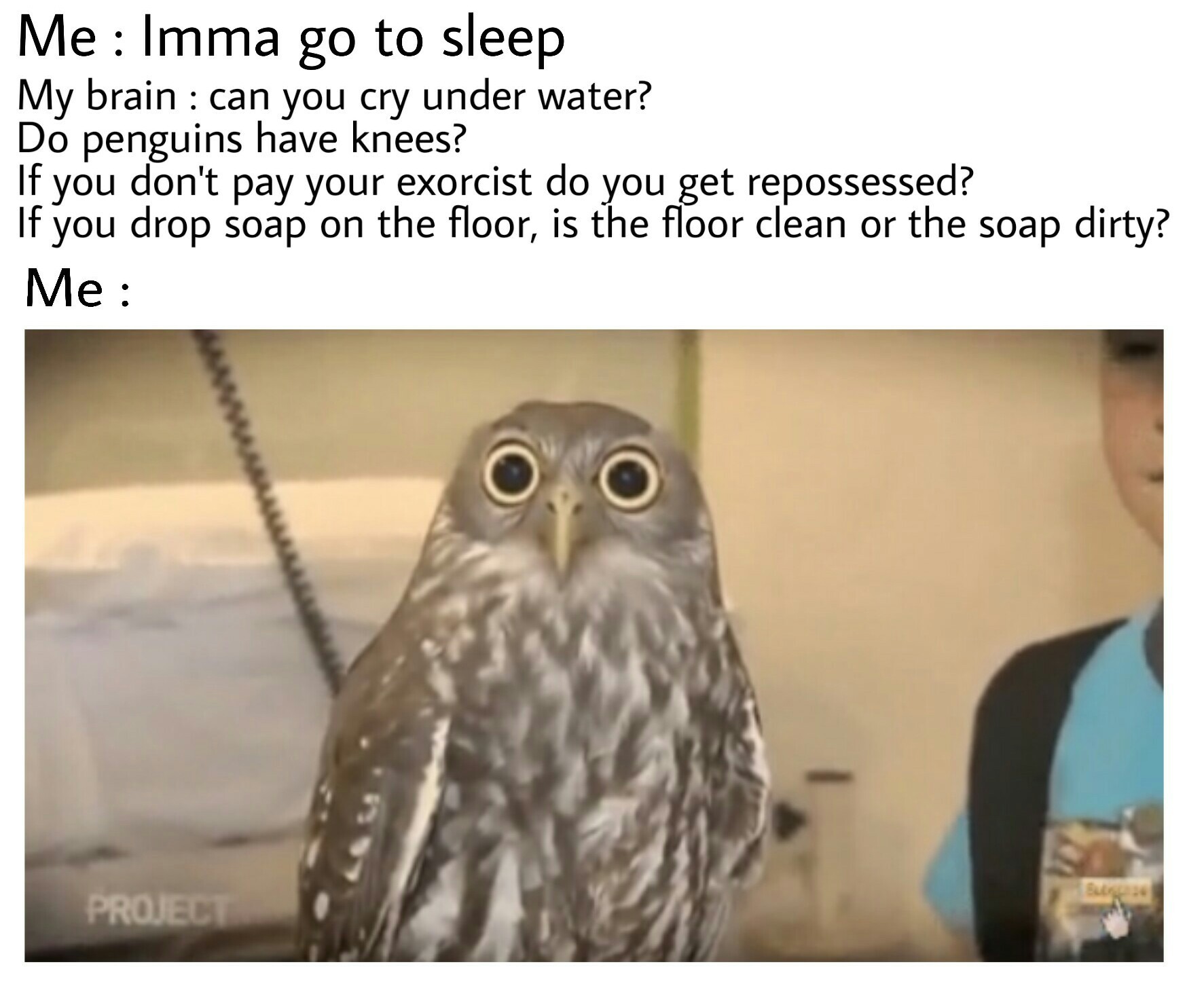 Imma go to sleep uh my ass - meme