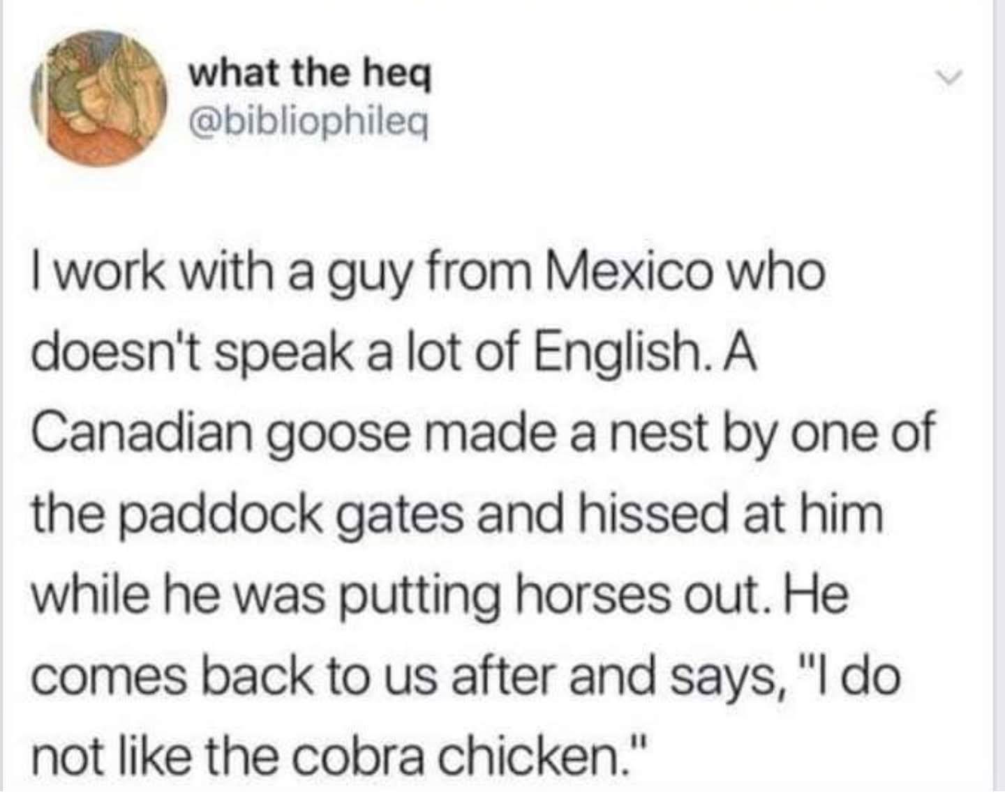 Cobra chicken - meme