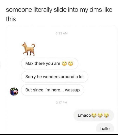 Max played a nice role - meme