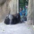 Visita al zoológico