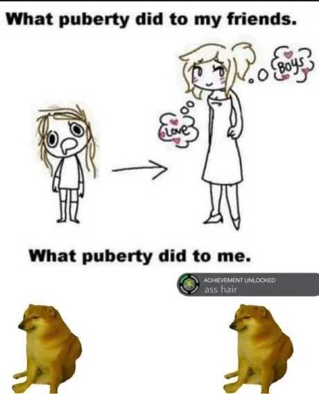Puberty went well - meme