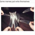 Top cat memes