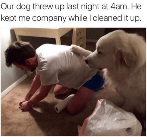 best friends strong together - meme