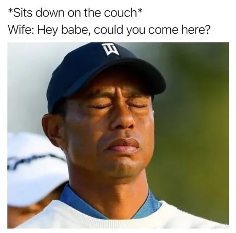 Wife material - meme