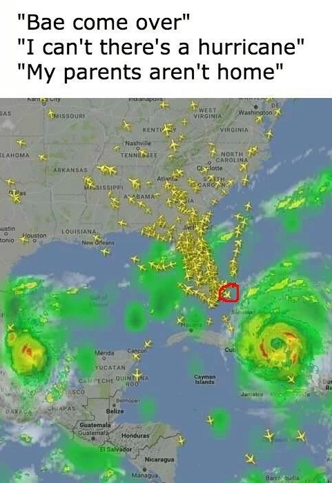 Hurricane much - meme