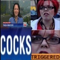 cocks = penes